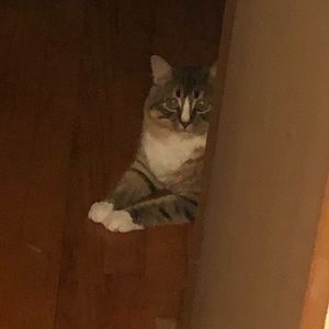 Meet your Posher, Tyler